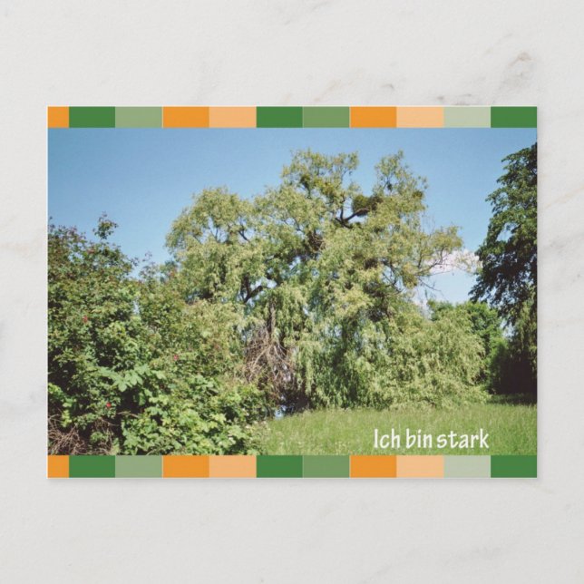 Cartão Postal Estrelas de caixa ich (Frente)