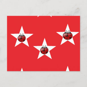 Cartão Postal Estrelas Ladybug