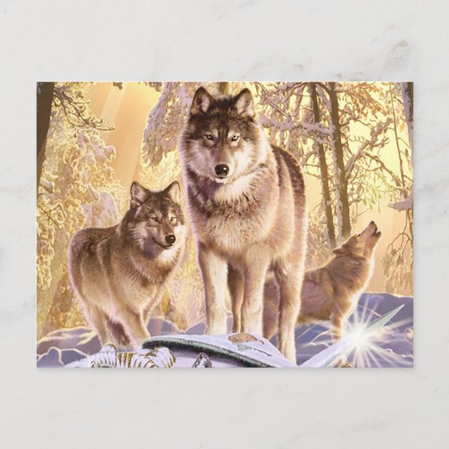 Cartão Postal "Estrelas sob neve" (Frente)