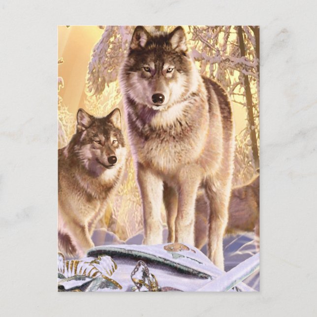 Cartão Postal "Estrelas sob neve" (Frente)