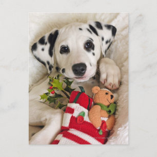 Cartão Postal estúdio