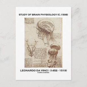 Cartão Postal Estudo Da Fisiologia Cerebral (Leonardo da Vinci 1
