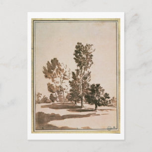 Cartão Postal Estudo de Árvore (caneta e tinta sobre papel)