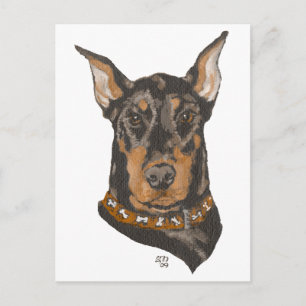 Cartão Postal Estudo de Cabeça do Doberman Pinscher