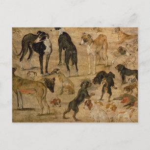 Cartão Postal Estudo de Cães, 1616