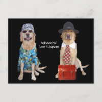 Estudo de Comportamento Animal/Laboratório/Cão