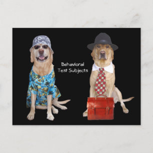 Cartão Postal Estudo de Comportamento Animal/Laboratório/Cão