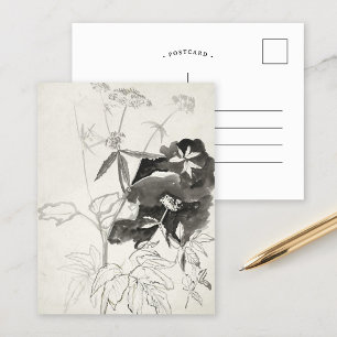 Cartão Postal Estudo de Planta Carel Adolph Cachet