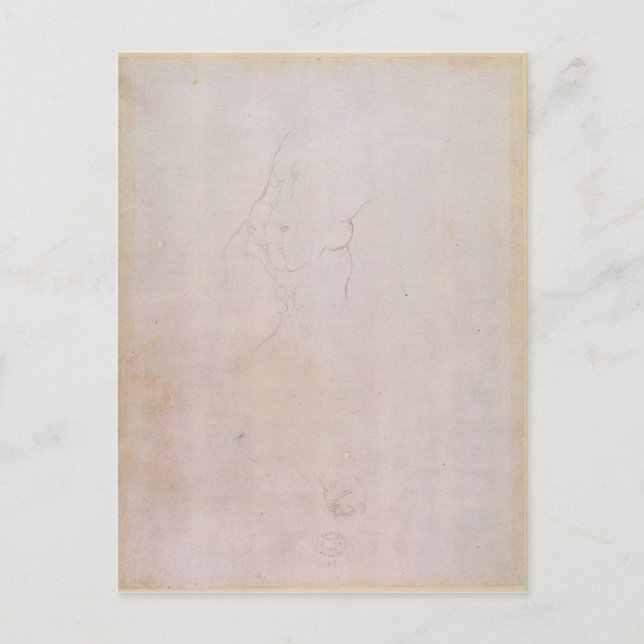 Cartão Postal Estudo de um tronco masculino (Frente)