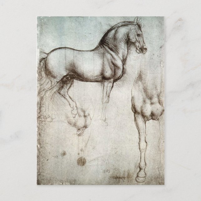 Cartão Postal Estudo dos cavalos - Leonardo da Vinci (Frente)