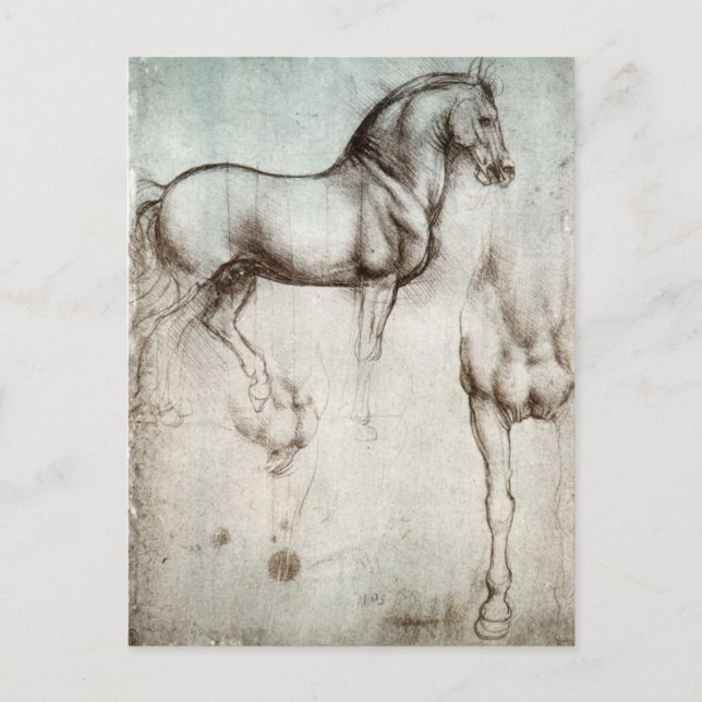 Cartão Postal Estudo dos cavalos - Leonardo da Vinci (Frente)