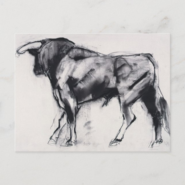Cartão Postal Estudo Toro Azul (Frente)