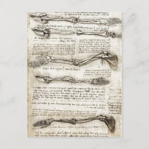 Cartão Postal Estudos do Braço mostrando os Movimentos feitos p