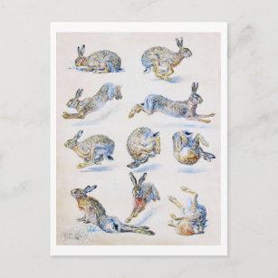 Cartão Postal Estudos sobre a lebre selvagem (coelho), Bruno Lil