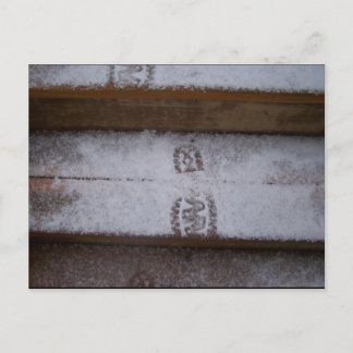 Cartão Postal Etapa do solteiro