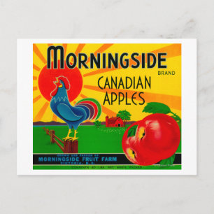 Cartão Postal Etiqueta da Maçã MorningsideCanadá