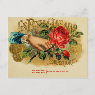 Cartão Postal Etiqueta de Caixa de Cigarro Vintage