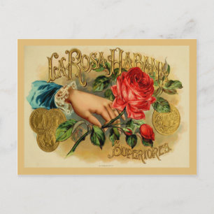 Cartão Postal Etiqueta de Caixa de Cigarro Vintage