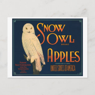 Cartão Postal Etiqueta de Caixa de Maçãs da Marca Snow Owl