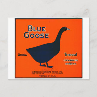 Cartão Postal Etiqueta de Fruta Vintage