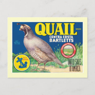 Cartão Postal Etiqueta de produto da Comida Vintage