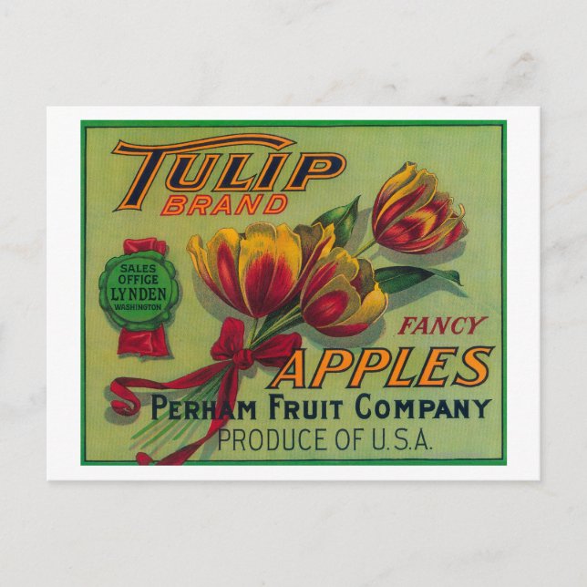 Cartão Postal Etiqueta de Taxa de Aplicação do Washington Tulip (Frente)