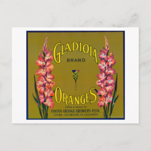 Cartão Postal Etiqueta de Taxa de Citros de Marca Gladiola