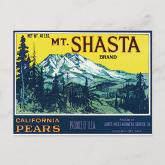 Cartão Postal Etiqueta Vintage do Monte Shasta California CA Pea