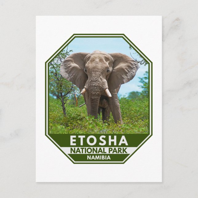 Cartão Postal Etosha National Park Namibia Elephant Watercolor (Frente)