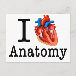 Cartão Postal Eu adoro Anatomia