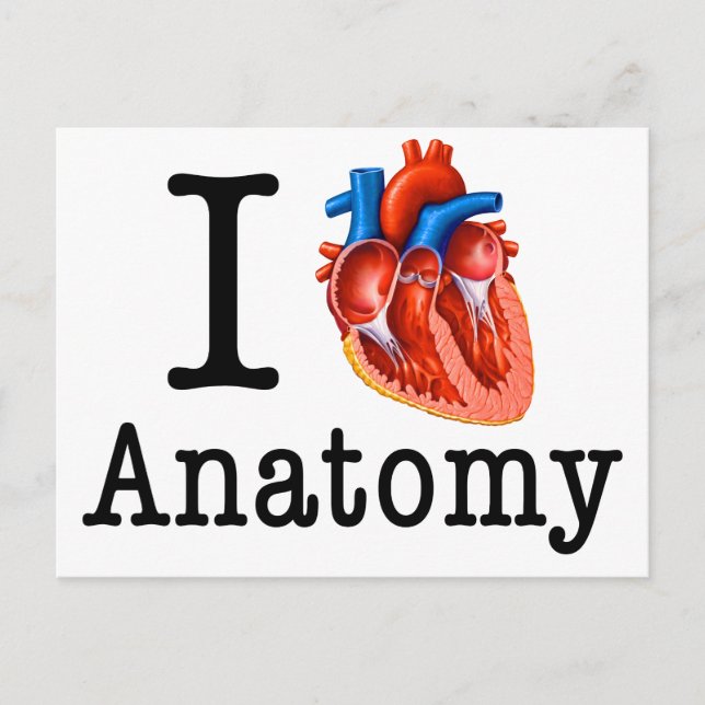 Cartão Postal Eu adoro Anatomia (Frente)