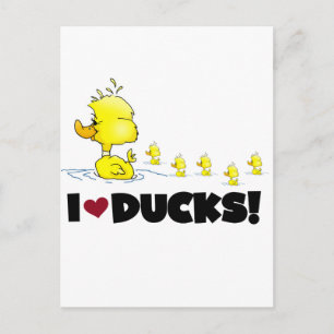 Cartão Postal Eu adoro Camisetas de Patos e presentes
