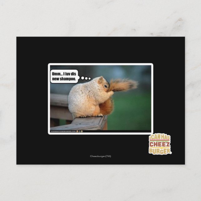 Cartão Postal Eu adoro esse novo xampu (Frente)