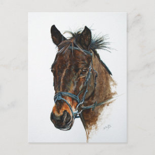 Cartão Postal Eu Adoro Pôneis