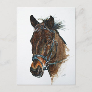 Cartão Postal Eu Adoro Pôneis