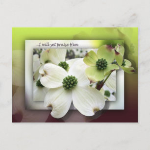 Cartão Postal Eu Ainda O Elogio