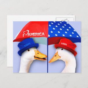 Cartão Postal Eu Amo A América. Patos Patrióticos Engraçados