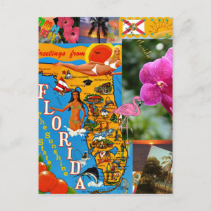 Cartão Postal Eu amo a Florida