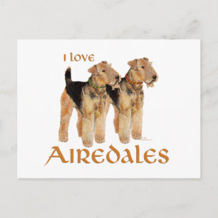 Cartão Postal Eu Amo Airedales
