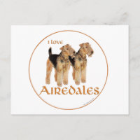 Eu Amo Airedales