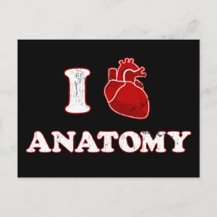 Cartão Postal eu amo anatomia