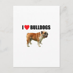 Cartão Postal Eu Amo Bulls