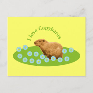 Cartão Postal Eu amo Capybaras