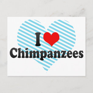 Cartão Postal Eu Amo Chimpanzés