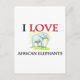 Cartão Postal Eu amo elefantes africanos