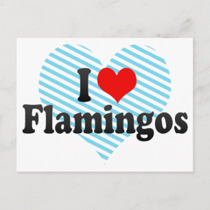 Cartão Postal Eu Amo Flamingos