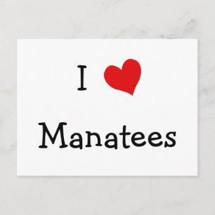 Cartão Postal Eu Amo Manatees