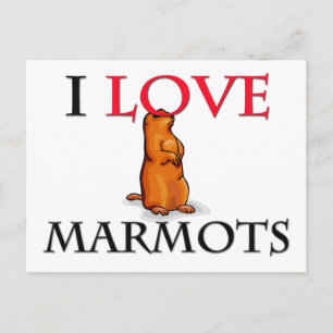 Cartão Postal Eu Amo Marmots