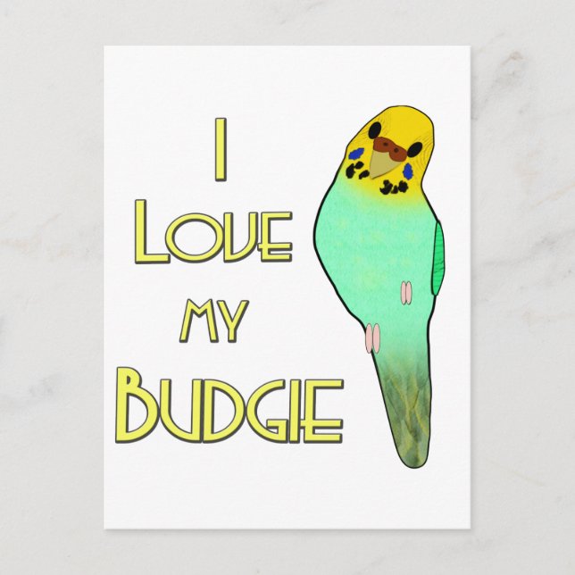 Cartão Postal Eu amo meu Budgie (Frente)