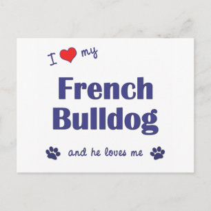 Cartão Postal Eu Amo Meu Bulldog Francês (Cachorro Masculino)